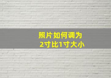 照片如何调为2寸比1寸大小