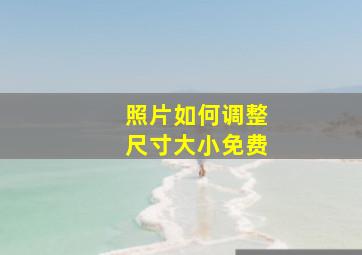 照片如何调整尺寸大小免费