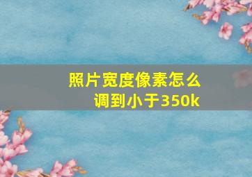 照片宽度像素怎么调到小于350k