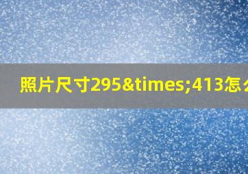 照片尺寸295×413怎么弄