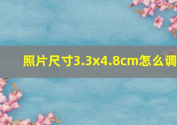 照片尺寸3.3x4.8cm怎么调