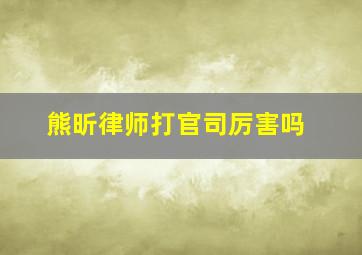 熊昕律师打官司厉害吗