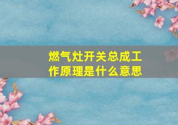 燃气灶开关总成工作原理是什么意思