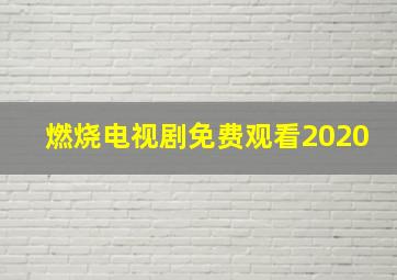 燃烧电视剧免费观看2020