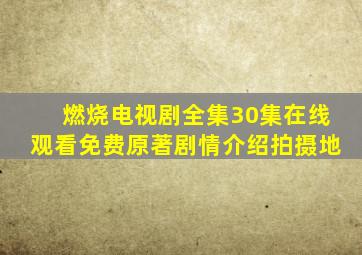 燃烧电视剧全集30集在线观看免费原著剧情介绍拍摄地