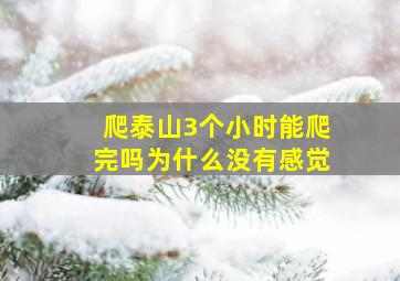 爬泰山3个小时能爬完吗为什么没有感觉