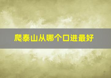 爬泰山从哪个口进最好