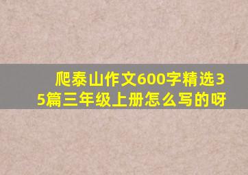 爬泰山作文600字精选35篇三年级上册怎么写的呀