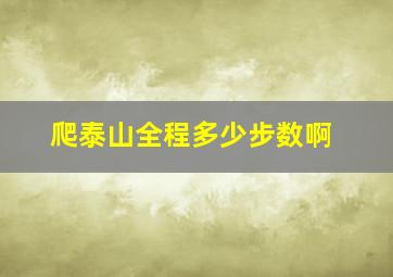 爬泰山全程多少步数啊