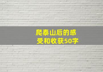 爬泰山后的感受和收获50字