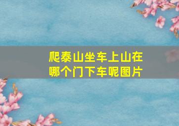 爬泰山坐车上山在哪个门下车呢图片