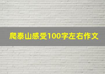 爬泰山感受100字左右作文