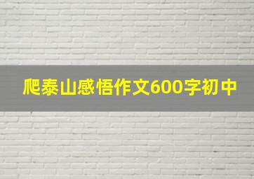 爬泰山感悟作文600字初中