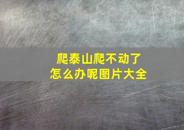 爬泰山爬不动了怎么办呢图片大全