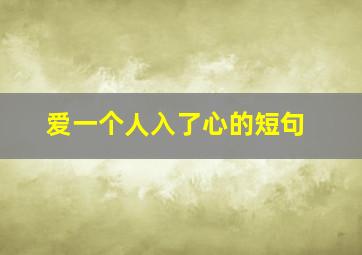 爱一个人入了心的短句