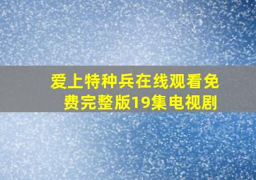 爱上特种兵在线观看免费完整版19集电视剧