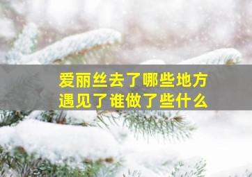 爱丽丝去了哪些地方遇见了谁做了些什么