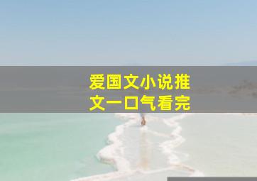 爱国文小说推文一口气看完