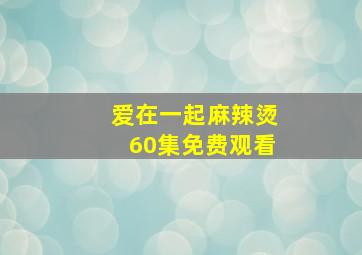 爱在一起麻辣烫60集免费观看