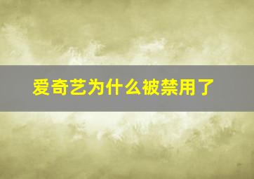 爱奇艺为什么被禁用了