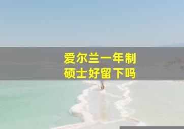 爱尔兰一年制硕士好留下吗