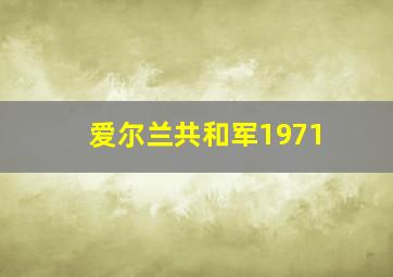 爱尔兰共和军1971