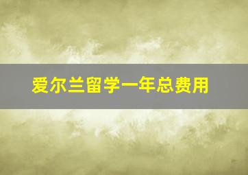 爱尔兰留学一年总费用