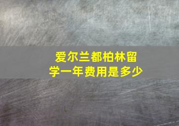 爱尔兰都柏林留学一年费用是多少