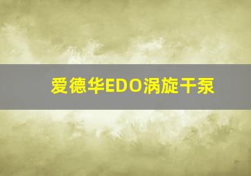 爱德华EDO涡旋干泵