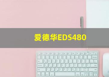 爱德华EDS480