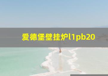 爱德堡壁挂炉l1pb20