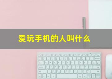 爱玩手机的人叫什么