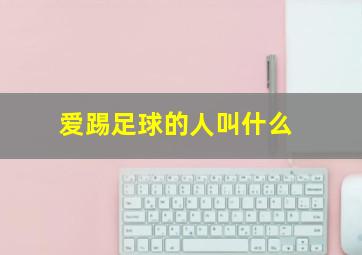 爱踢足球的人叫什么