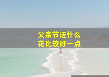 父亲节送什么花比较好一点