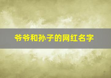 爷爷和孙子的网红名字