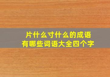 片什么寸什么的成语有哪些词语大全四个字