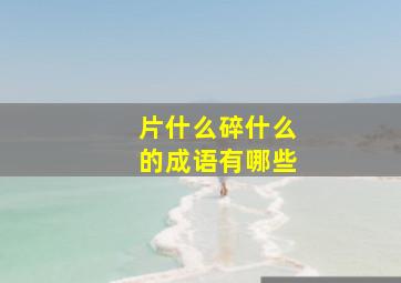 片什么碎什么的成语有哪些