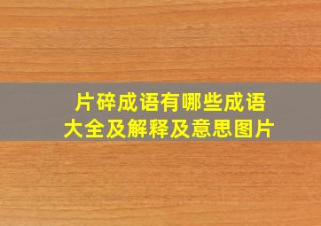 片碎成语有哪些成语大全及解释及意思图片