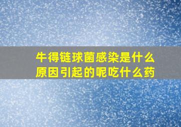 牛得链球菌感染是什么原因引起的呢吃什么药