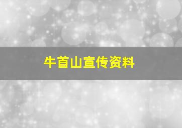 牛首山宣传资料