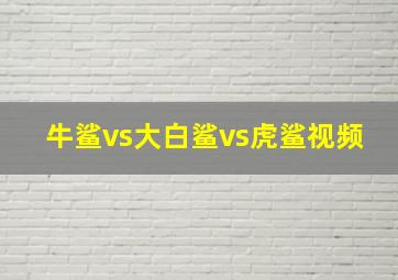 牛鲨vs大白鲨vs虎鲨视频