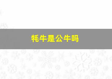 牦牛是公牛吗