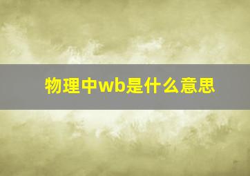 物理中wb是什么意思