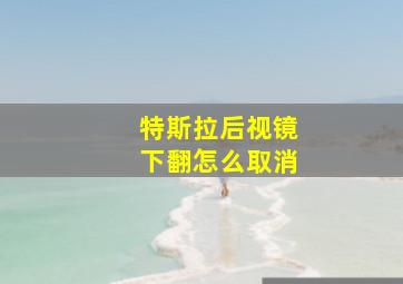 特斯拉后视镜下翻怎么取消