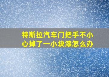 特斯拉汽车门把手不小心掉了一小块漆怎么办