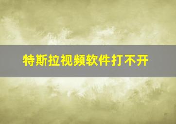 特斯拉视频软件打不开