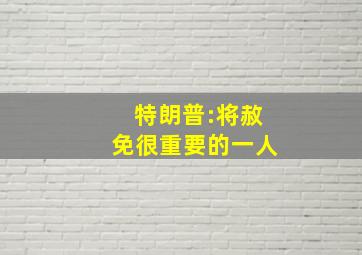 特朗普:将赦免很重要的一人