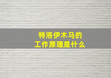 特洛伊木马的工作原理是什么