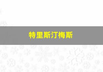 特里斯汀梅斯