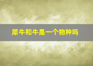 犀牛和牛是一个物种吗